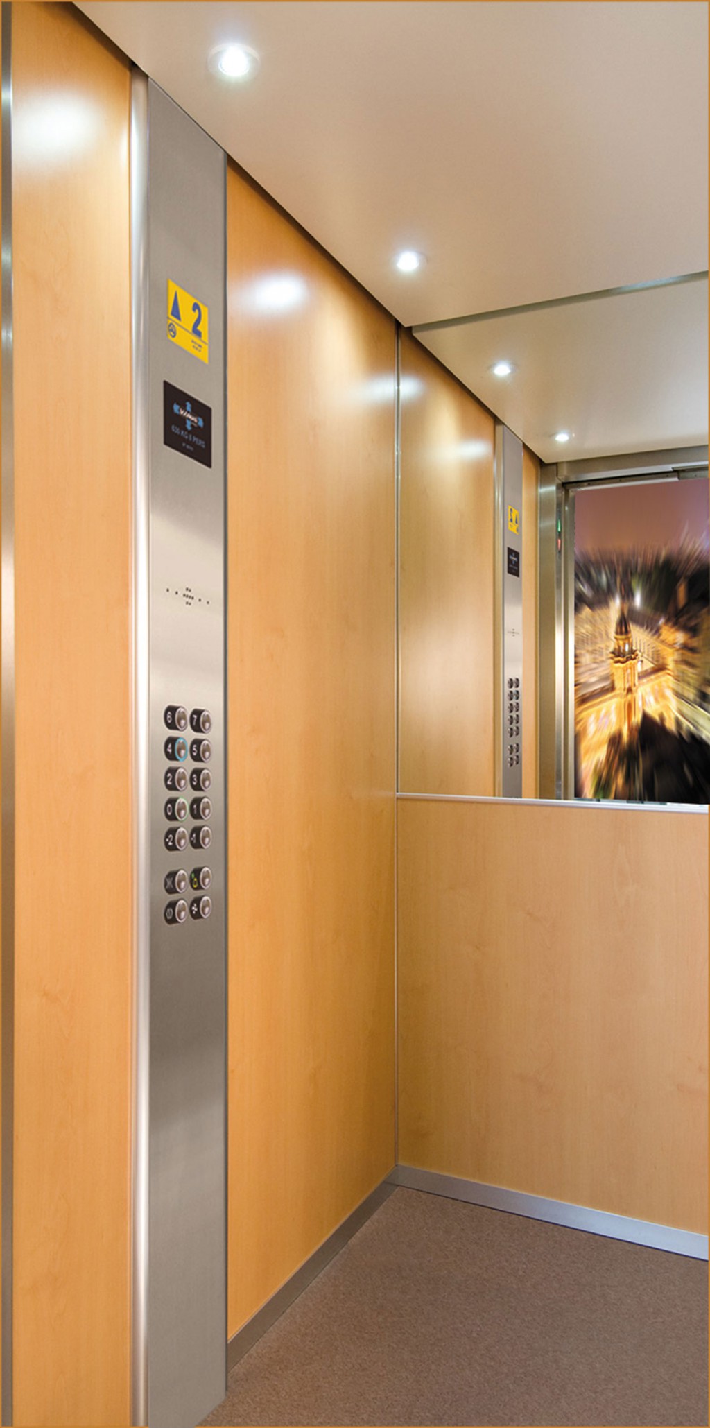 ODEON_PHOTO | F2a automatisme Installation d’ascenseur standard en Alsace Rixheim 6